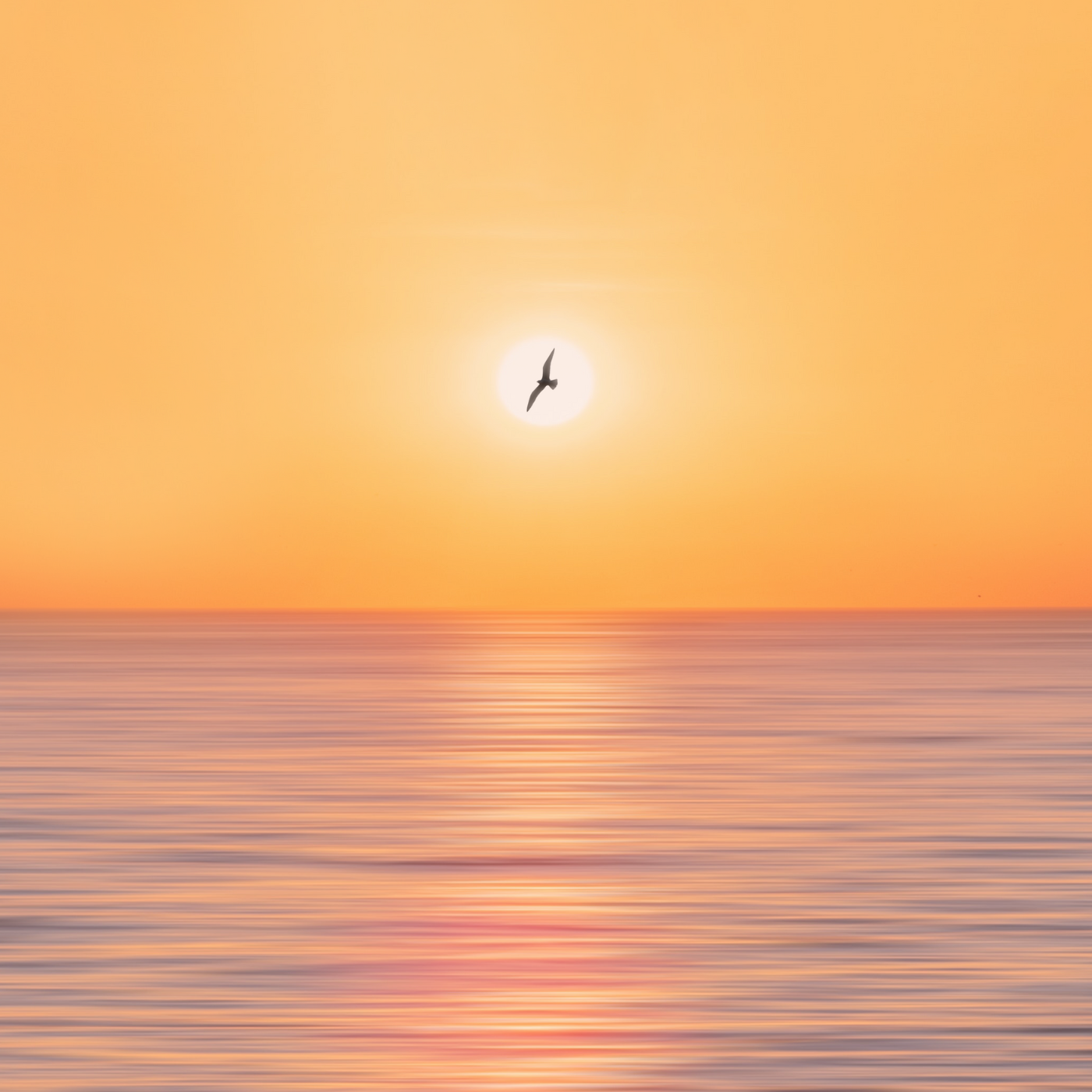 Live Again - 124 BPM - Bb Minor